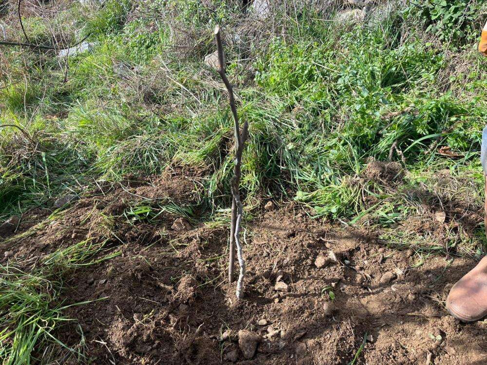 82 yaşındaki emekli mali müşavir, yaptığıyla gençlere de yaşıtlarına da örnek 5